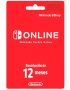 Nintendo Online