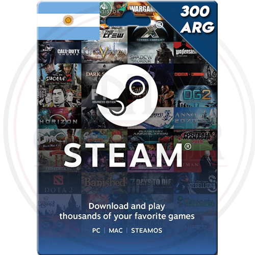 Steam gift card 300