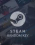 Steam Random Key